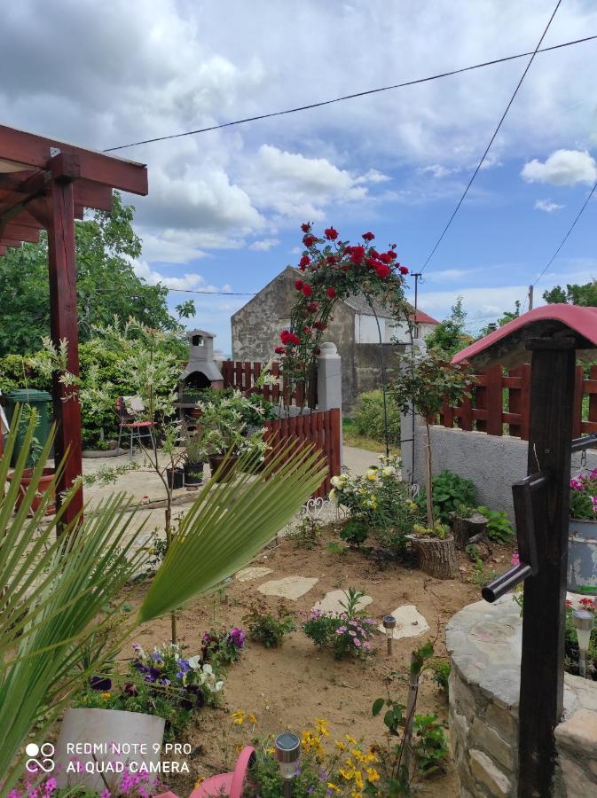 Kuca Za Odmor Delfina Villa Slivnica Exterior foto
